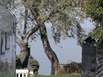 campen am Gardasee_Pixelio_Volker_inning