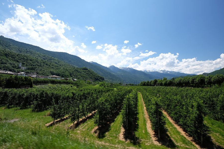 File:23030 Villa di Tirano SO, Italy - panoramio.jpg