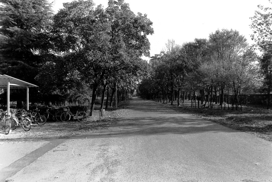 File:CFP, Lancenigo, Villorba, ottobre 1986 1.jpg