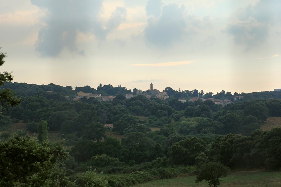 File:Tempio Pausania, frazione Nuchis, panorama (01).jpg