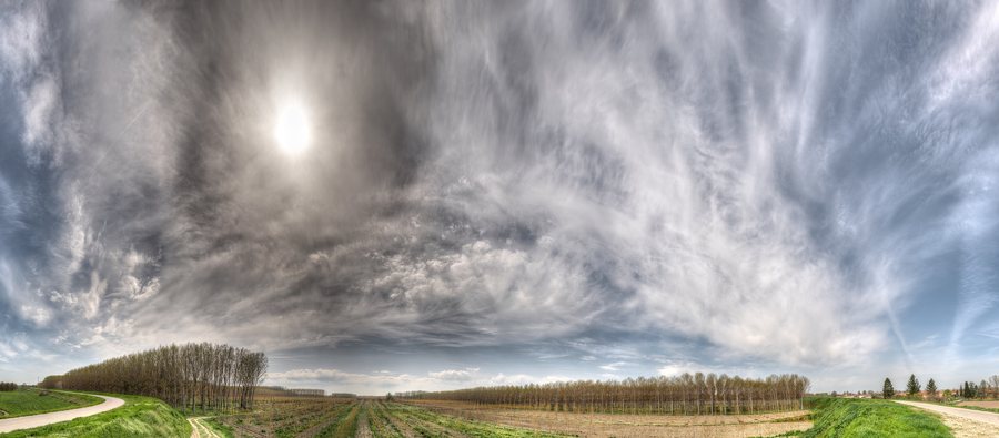 File:Poplars - Pomponesco, Mantova, Italy - April 8, 2018 01.jpg