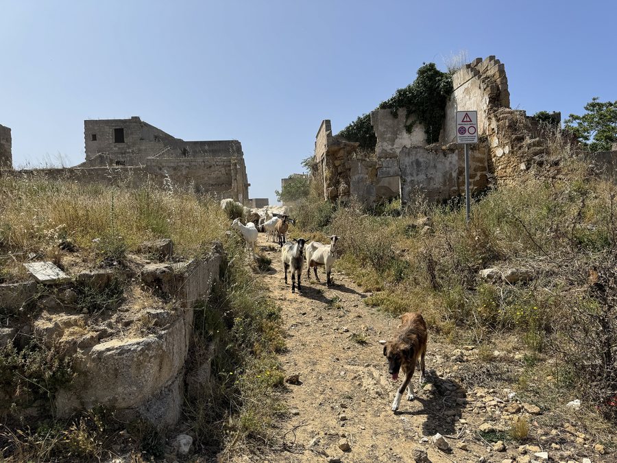 File:Ruderi di Santa Margherita di Belice 15.jpg