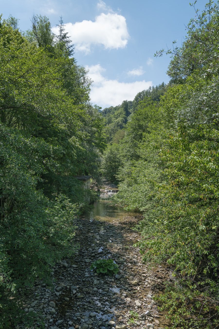 File:Torrente Gambellato - Roncobilaccio, Castiglione dei Pepoli, Bologna - 2 Luglio 2023 02.jpg