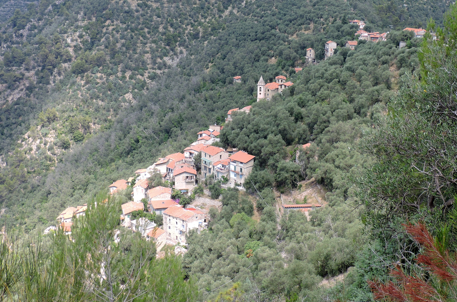 File:Collabassa.png
