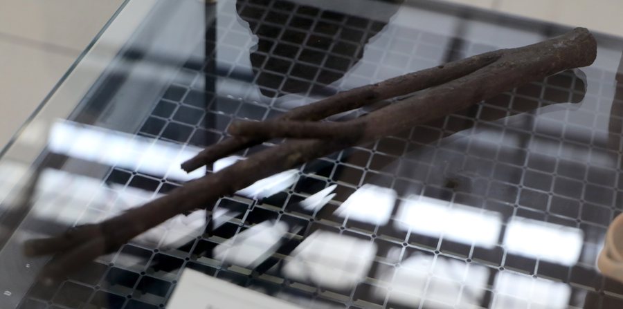 File:Ramo di alloro in bronzo, con fori per l'attacco delle foglie, 350 ac ca., dal santuario di apollo aleo a cirò marina.jpg