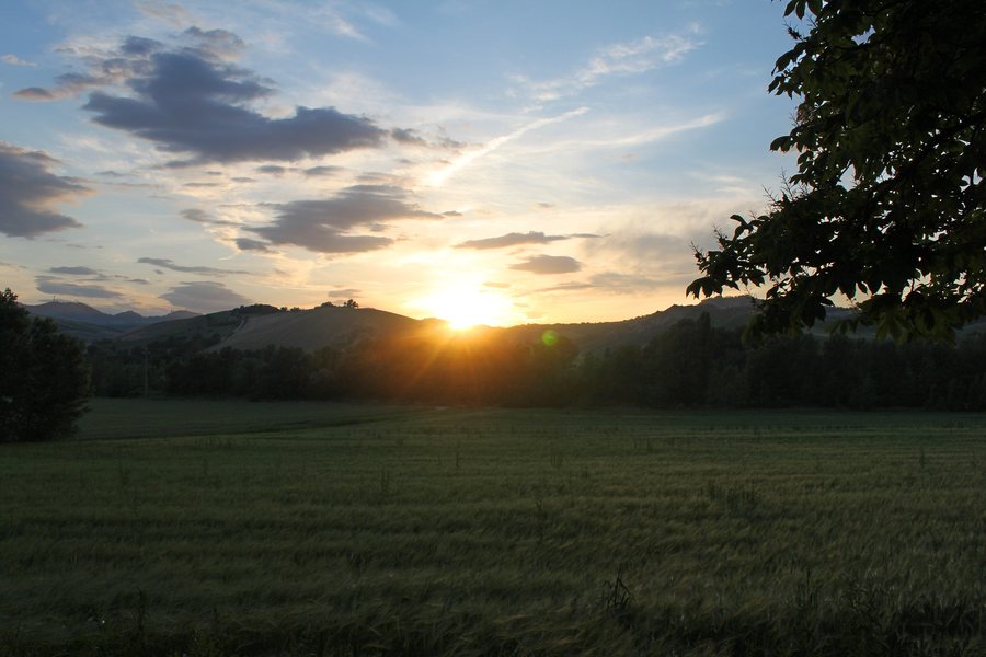 File:Valle del Sillaro a San Martino in Pedriolo - panoramio.jpg