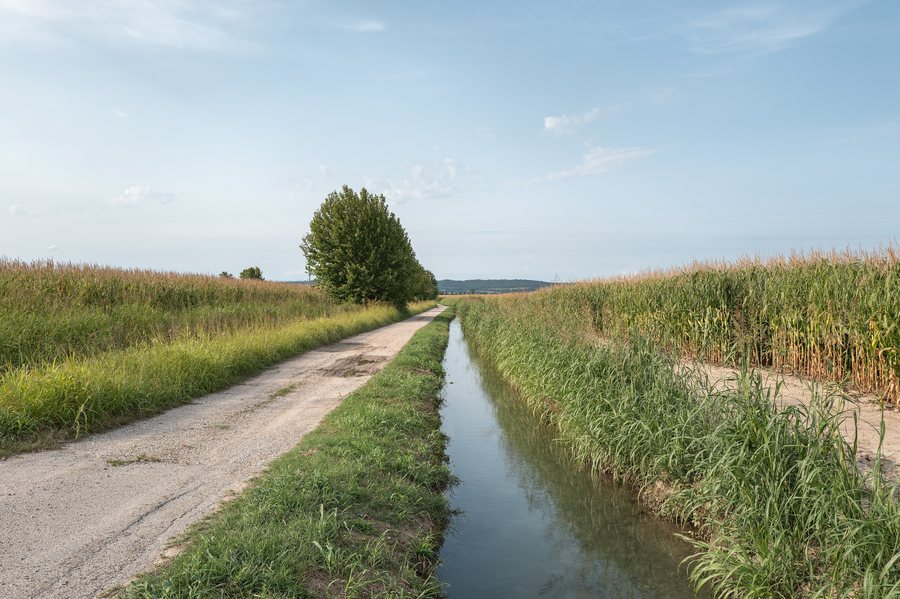 File:Via Colonnello - Cavriana, Mantova, Italia - 6 Agosto 2025 02.jpg