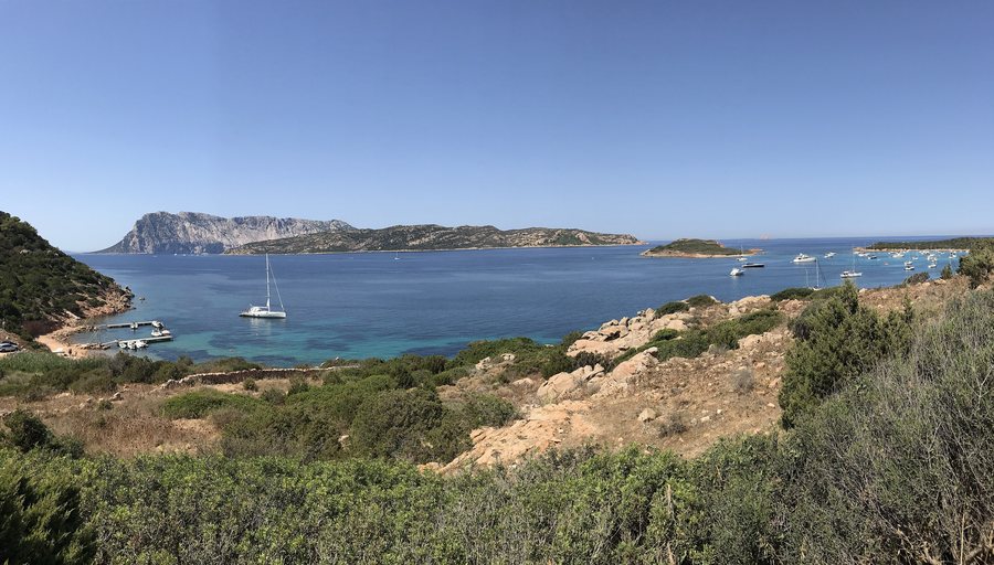 File:Capo Coda Cavallo (San Teodoro, Italy) 2017.jpg