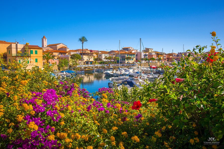 File:Flowers and harbor in Stintino, north Sardinia (Italy) (24111068321).jpg