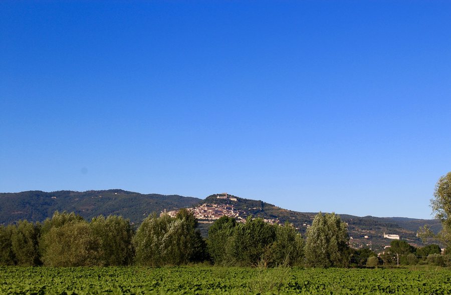 File:Cortona da Monsigliolo.jpg