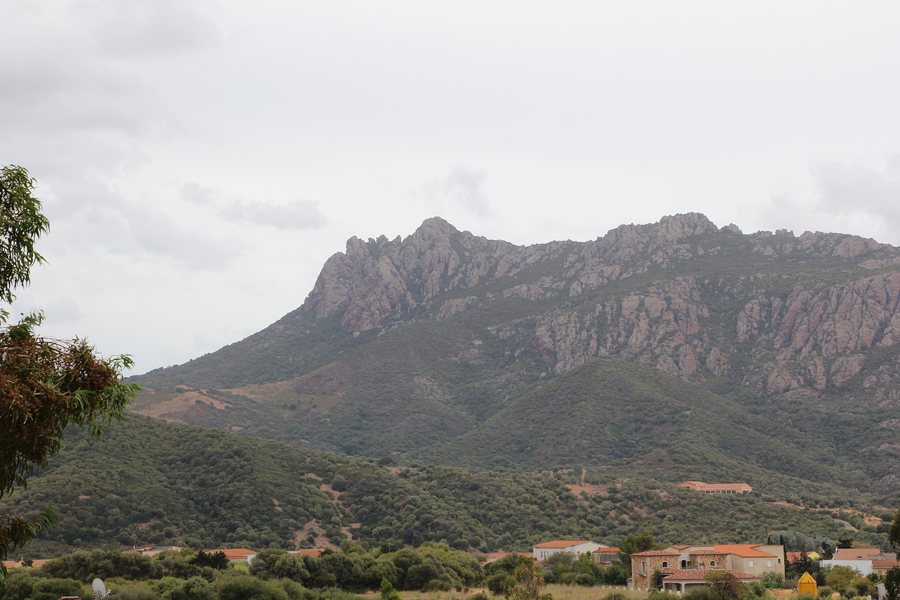 File:Bortigiadas, Viddalba - Monte Ruiu (03).JPG