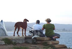 Reisende mit Hund an einer Ufermauer